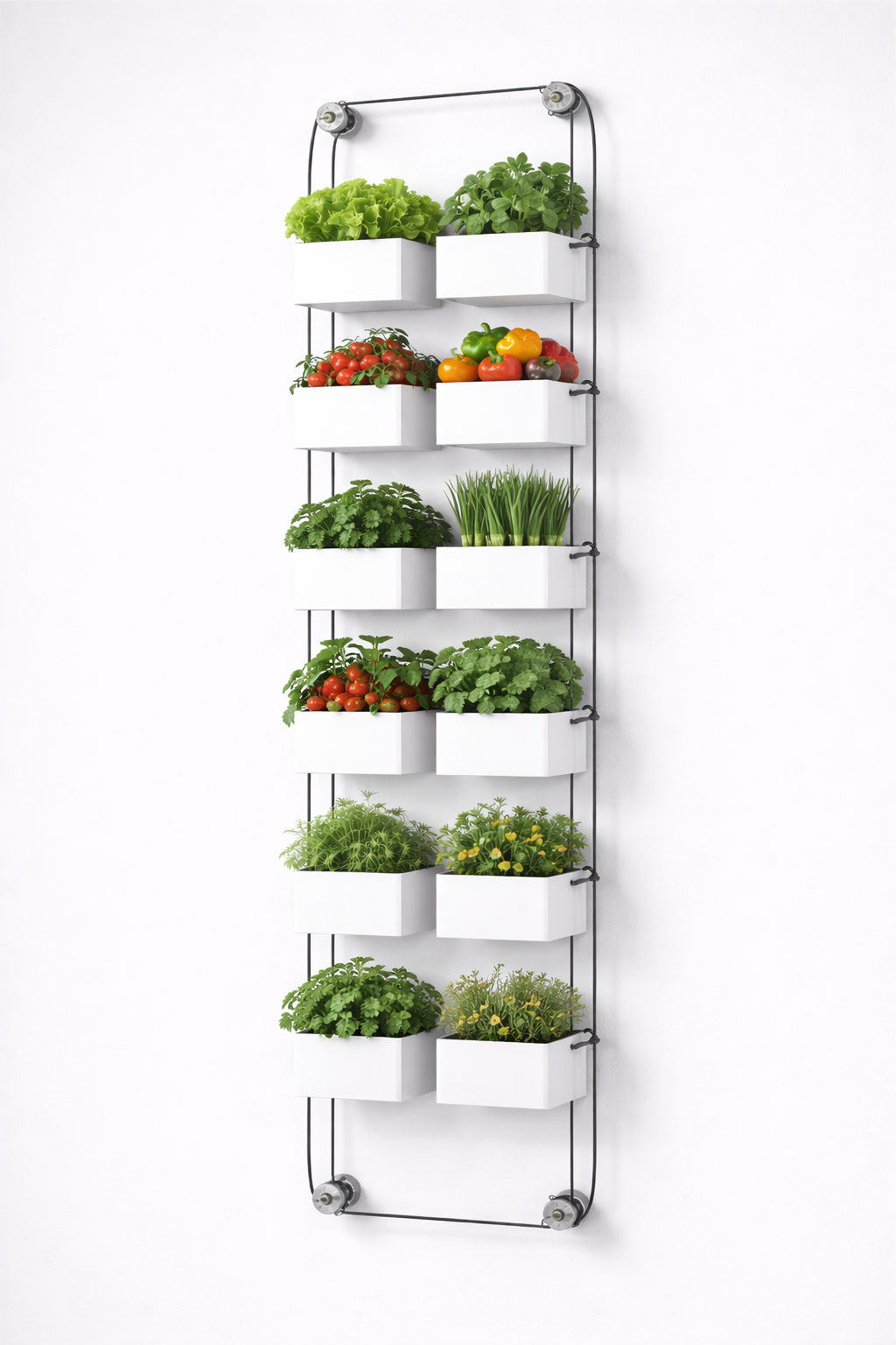 MurMûr Starter Blanc